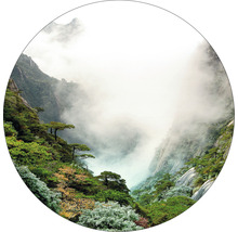 Berglandschaft mit Bäumen und Nebel