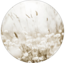 Nahaufnahme von Gräsern und Blüten