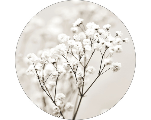 Glasbild rund Meadow flowers I Ø 20 cm