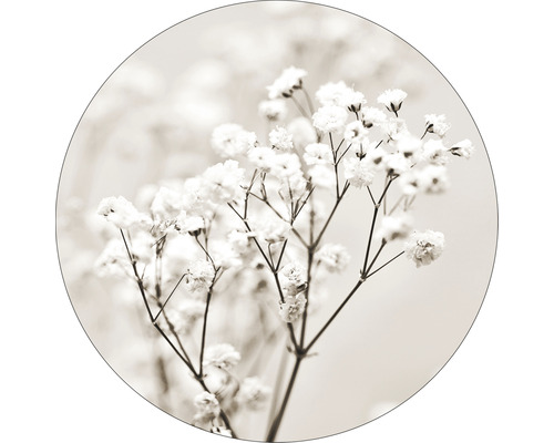 Glasbild rund Meadow flowers I Ø 50 cm