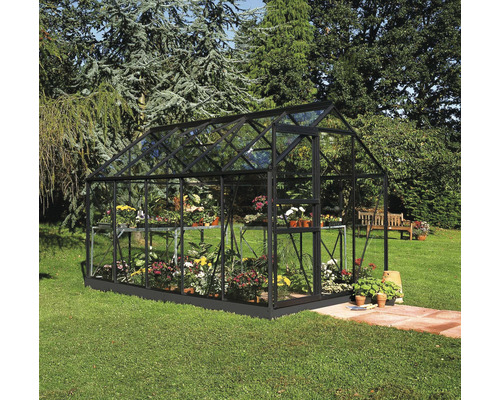 Gewächshaus Halls Popular 106 Blankglas 3 mm 193 x 319 cm schwarz Gewächshaus mit Pflanzen im Garten