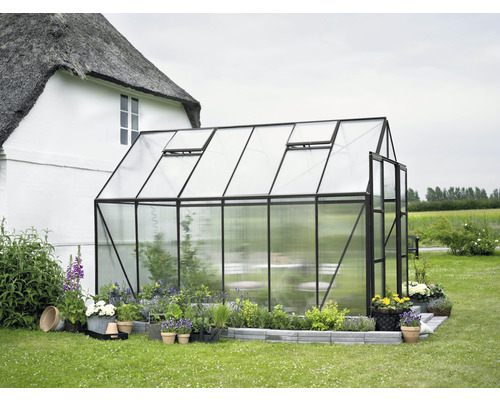 Gewächshaus Halls Magnum 128 Polycarbonat 6 mm 257 x 384 cm schwarz Gewächshaus im Garten mit geöffneter Tür und Pflanzen