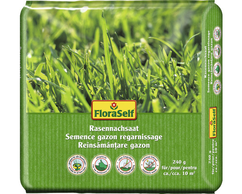 Rasensamen FloraSelf Rasennachsaat 240 g ca. 10 m² Rasensamen FloraSelf Rasennachsaat 240 g ca. 10 m²