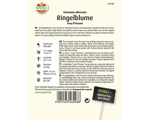 Samenpackung Ringelblume Ivory Princess