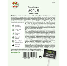 Erdnuss Jimmy's Pride Gemüsesamen