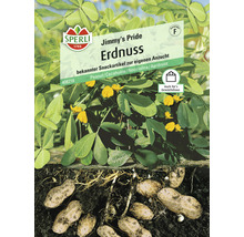 Erdnuss Jimmy's Pride Gemüsesamen