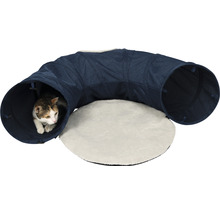 Katze im Katzentunnel mit Liegefläche