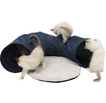 Katzentunnel mit Kissen und spielenden Katzen
