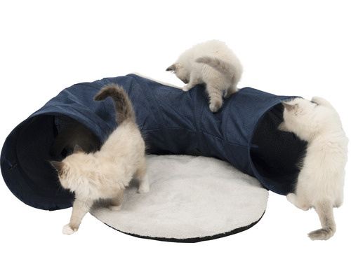 Katzentunnel mit Kissen und spielenden Katzen