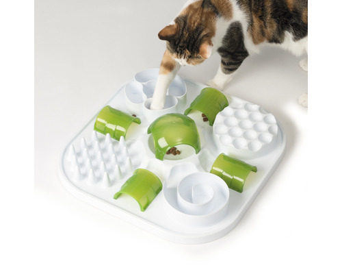 Katze mit Futterspielzeug auf weißem Untergrund