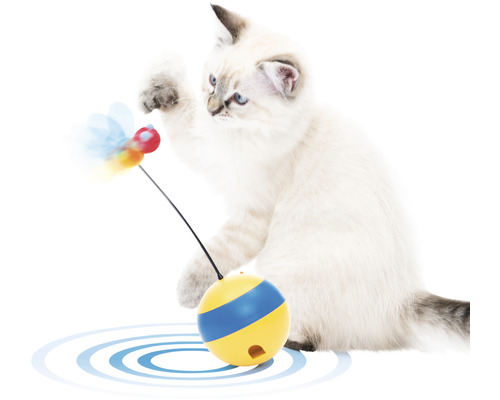 Katze spielt mit einem Spielzeugball mit Feder