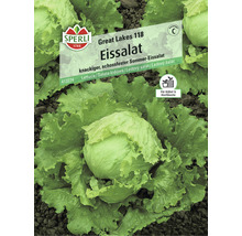 Eissalat Sperli Salatsamen-thumb-0