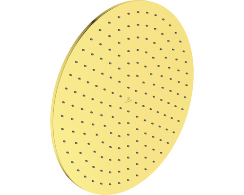 Runde Kopfbrause für Duschen