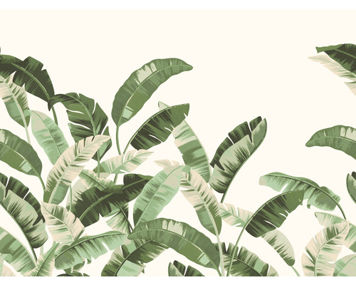 Fototapete Vlies 485929 Florentine III Bananenblätter grün 8-tlg. 300 x 400 cm Fototapete Vlies 485929 Florentine III Bananenblätter grün 8-tlg. 300 x 400 cm