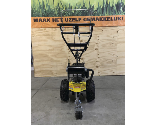 Vertikutierer zur Rasenpflege