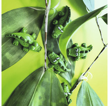 Dekorative Krokodilfiguren zwischen grünen Blättern