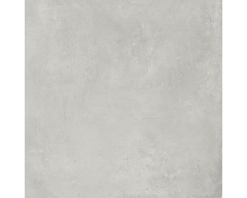 Feinsteinzeug Wand- und Bodenfliese Cortina light grey 81 x 81 cm-0