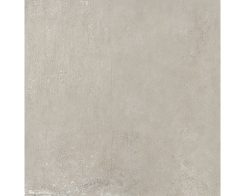 Feinsteinzeug Wand- und Bodenfliese Cortina sand 81 x 81 cm