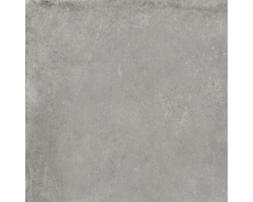 Feinsteinzeug Wand- und Bodenfliese Cortina grey 81 x 81 cm