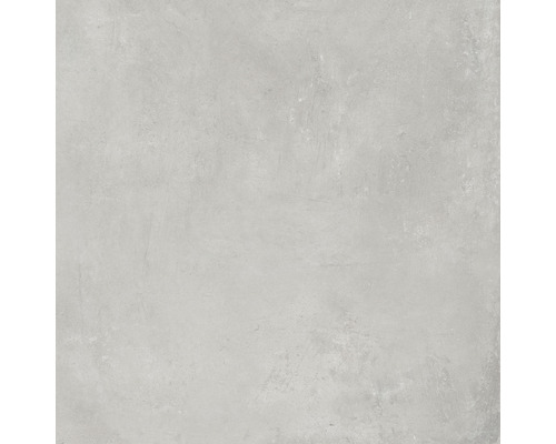 Feinsteinzeug Wand- und Bodenfliese Cortina light grey 60 x 60 cm