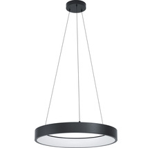 LED Smart Light Pendelleuchte zigbee Bluetooth 6,5W 3400 lm CCT RGB HxØ 1110x600 mm schwarz - Kompatibel mit SMART HOME by hornbach-thumb-2 LED Smart Light Pendelleuchte zigbee Bluetooth 6,5W 3400 lm CCT RGB HxØ 1110x600 mm schwarz - Kompatibel mit SMART HOME by hornbach-thumb-2