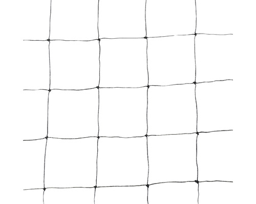 Netzstruktur