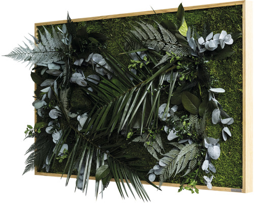 Moosbild mit verschiedenen Pflanzen in einem Holzrahmen