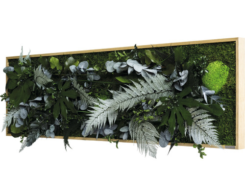 Moosbild mit verschiedenen Pflanzen in Holzrahmen