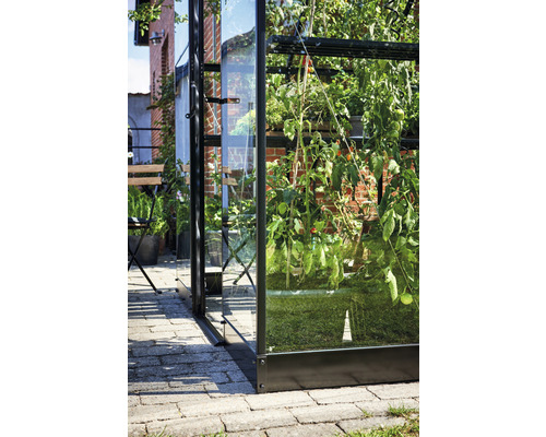 Detailansicht eines Gewächshauses mit Pflanzen im Garten.