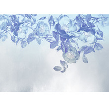 Fototapete Vlies X7-1094 Blue Aura 7-tlg. 350 x 250 cm