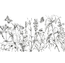 Illustration von Wildblumen und Schmetterlingen