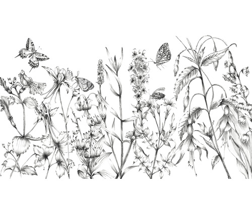 Fototapete Vlies X8-1085 Butterfly Field 8-tlg. 400 x 250 cm