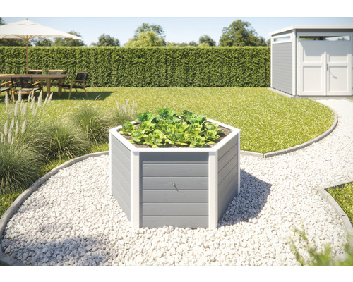 Hochbeet klassisch weka 6-Eck 145 x 143 x 68,5 cm grau Sechseckiges Hochbeet aus Holz mit Salatpflanzen im Garten