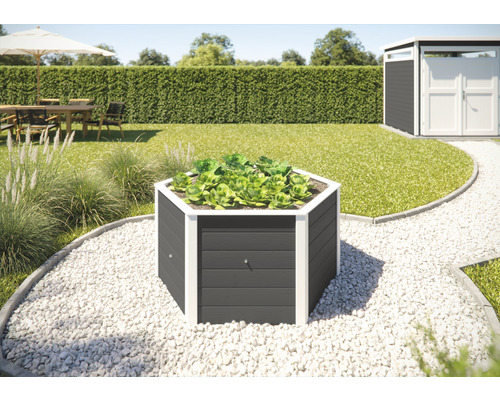 Hochbeet klassisch weka 6-Eck 146 x 143 x 68,5 cm anthrazit Hochbeet aus Holz mit Salatpflanzen im Garten