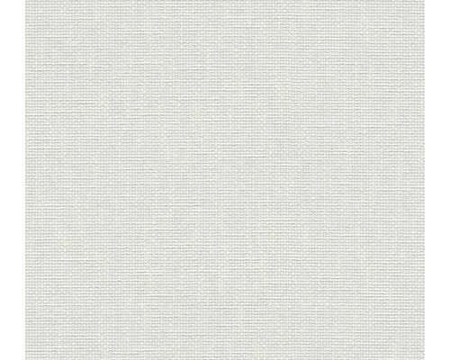 Vliestapete 1674-15 Meistervlies 2020 überstreichbar- Netz Textiltapete mit feiner Struktur