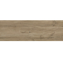 Handmuster zu FLAIRSTONE Feinsteinzeug Legno Vita Rovero Scuro 20 cm x 20 cm
