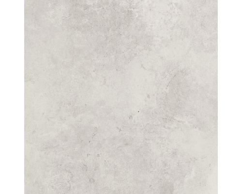 Feinsteinzeug Wand- und Bodenfliese Montreal 79,7 x 79,7 cm white matt
