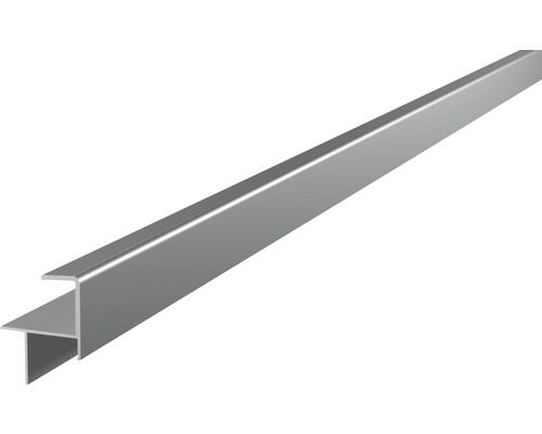 Abschlussschiene silber für Dielenstärke 20-21 mm 2x35,6x46,9x4000 mm T-Profilleiste