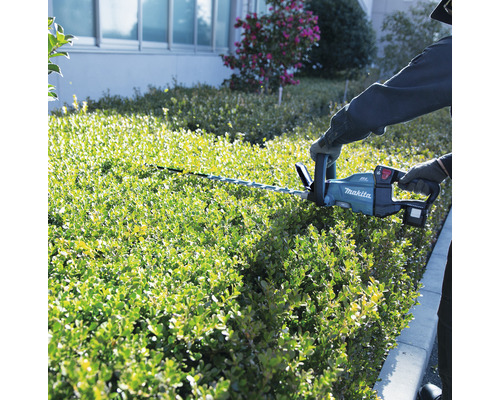 Eine Person schneidet mit einer Akku-Heckenschere von Makita eine Hecke.