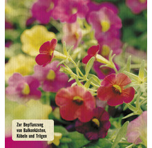Balkonblumenerde FloraSelf 60 L