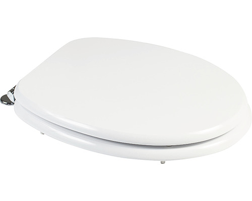 Toilettendeckel aus Kunststoff