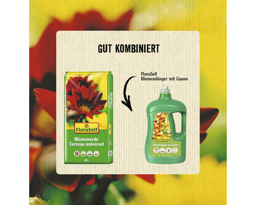 Empfohlene Kombination: FloraSelf Blumenerde und Guano Blumendünger