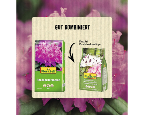 Rhododendrondnger FloraSelf 1 | HORNBACH