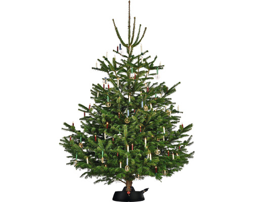 Geschmückter Weihnachtsbaum mit Kerzen und Ornamenten in einem Christbaumständer