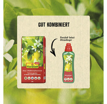 Zitrusdünger FloraSelfSelect 500 ml