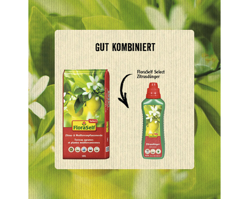 Empfohlene Kombination von FloraSelf Select Zitruspflanzenerde und Zitrusdünger