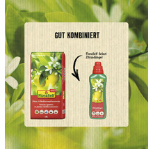 FloraSelf Select Zitrus- und Mediterranpflanzenerde und Zitrusdünger Kombination