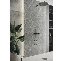 Badezimmer mit Mosaikfliesen, Regendusche und Pflanze