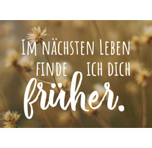 Dekorative Inschrift inmitten einer natürlichen Umgebung