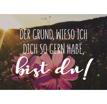 Blumenwiese mit der Aufschrift Der Grund, wieso ich dich so gern habe, bist du!